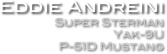 Eddie Andreini
Super Sterman
Yak-9U
P-51D Mustang